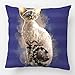 Produktbild KAKICSA Alex Throw Pillow Case Decorative Cushion Cover Cotton Polyester Sofa Chair Seat Square Pillowcase Design with Devon Rex Sofi Custom Personalized Image Text Pillow Cover Sized 18x18 Inches