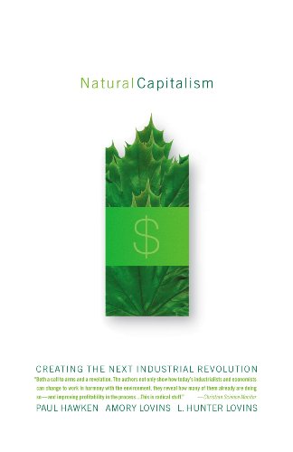 Natural Capitalism (English Edition)