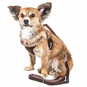 Pet Life ? Luxe Collection Furracious 2-in-1 Adjustable Fashion Dog Harness and Leash with Removable Fur Dog Collar - Designer Pet Harness is Reversed with Comfortable Mesh