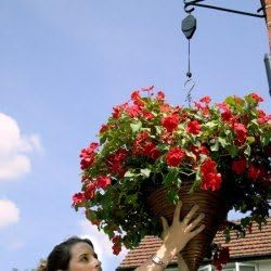 SET OF 2 ADJUSTABLE HANGING BASKET HOOKS PULL DOWN FOR EASY WATERING MAINTENANCE