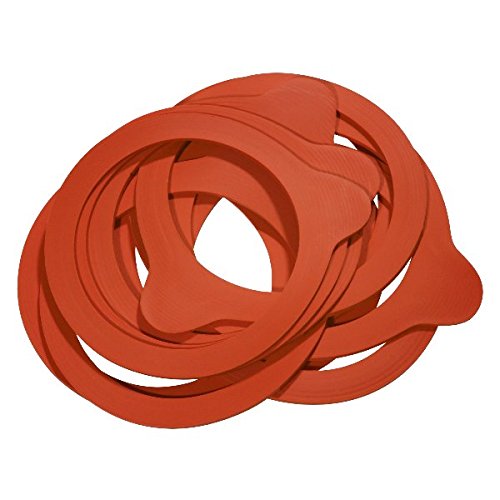 100 x WECK-Gummiring RR60