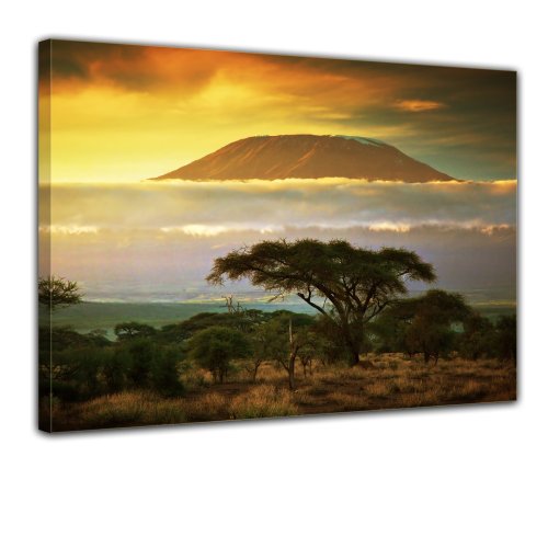 Bilderdepot24 Leinwandbild "Kilimandscharo mit Savanne in Kenya - Afrika" XXL - 80x60 cm 1 teilig - fertig gerahmt, direkt vom Hersteller