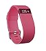 Price comparison product image Fitbit Hr Fitness and Sleep Tracker - Pink, Large