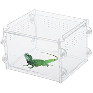 taonmeisu Kleine Animal Keeper transparent Kunststoff Box Tank mit Loch belüftet Tragegriff Insekten Spinnen Reptilien Live Lebensmittel