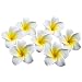Produktbild VORCOOL 100 Stück Plumeria Hawaiian Schaum Frangipani Blume 6CM (Weiß + Gelb)