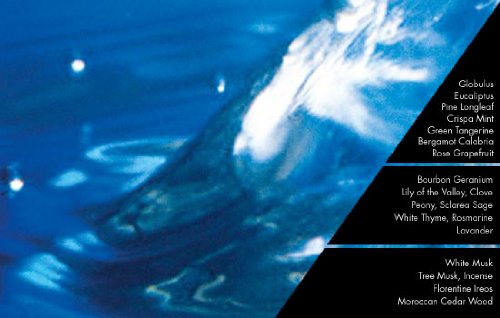 Millefiori Milano Nachfüllflasche Raumduft Natural Fragrance Cold Water (0,5l) - 3