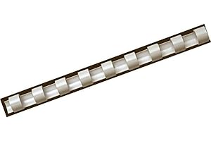 Fellowes 5332002 Dorsi Plastici per Rilegatura, 21 Anelli, Passo 9/16, Diametro 16 mm, Confezione da 25 Pezzi, Bianco