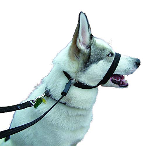 Kumfi Canine Kumfi Calmer, One Size