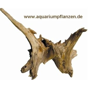 Mühlan Topartikel- 1 Kienwurzel 20-30 cm, Wurzel, Aquarium, Terrarium