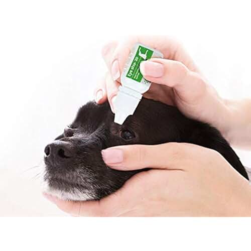 Amazon.co.uk eye drops cat