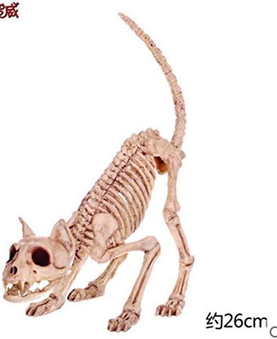 ChengBai Halloween decorating animal skeleton sub-Bar features in props emulation dog bone model rats spiderthat Cat 2