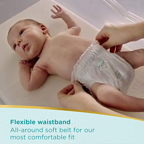 pampers premium care pants large 44