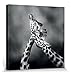 Produktbild 1art1 103294 Giraffen - Neck Loving, Marina Cano Poster Leinwandbild auf Keilrahmen 40 x 40 cm