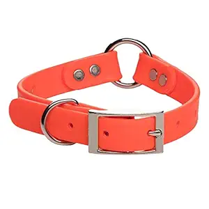 Mendota Products DuraSoft Hunt Dog Collar, Orange, 1 x 20-inch