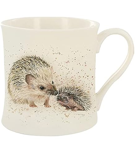 Beware of the Crazy Hedgehog Lady novità divertente