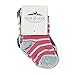 Wolf & York Lightening Baby Socks - Multi
