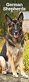 German Shepherds - Deutsche Schäferhunde 2020: Original BrownTrout-Kalender - Slimline [Mehrsprachig] [Kalender] (Slimline-Kalender) by 
