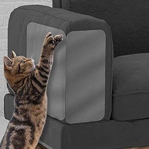 Depruies – Juego de 2 almohadillas para rascar muebles para gatos, protección contra arañazos, disuasorio de arañazos, protector de sofá para evitar que las mascotas arañen los muebles, Color, Small