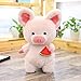 Produktbild BAONZEN Süße super süße lustige Schwein Puppe Mädchen Prinzessin Umarmung Schlaf Schwein Kleine Puppe Kind Puppe Puppe Plüsch, Sonnenschein Schwein Rosa nehmen Wassermelone, 45 cm