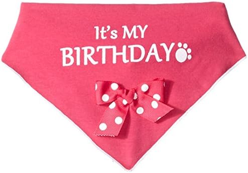 I See Spot "It's My Birthday" Scarf, Large, Pink