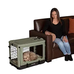 Pet Gear ?The Other Door?? 4 Door Steel Crate with Plush Bed + Travel Bag for Cats/Dogs, Sage, 27 Inch, (PG5927BSG)