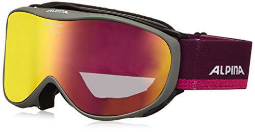 ALPINA-Challenge-20-mm-Skibrille-Anthracite-One-Size
