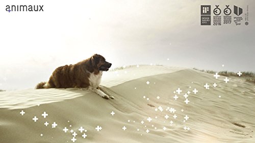 Calming-Aid-for-Dogs-Daily-Balance-Relaxation-and-Wellbeing-in-Stressful-Situations-Lavender-St-Johns-Wort-Valerian-Hops-Passionfruit-Flower-Food-Supplements-for-Every-Phase-of-Life