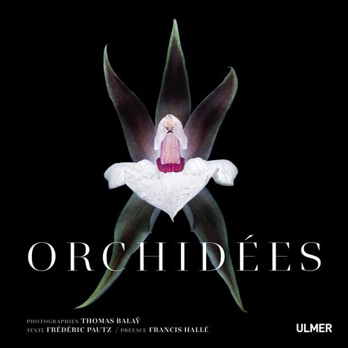Télécharger Orchidées Francais PDF