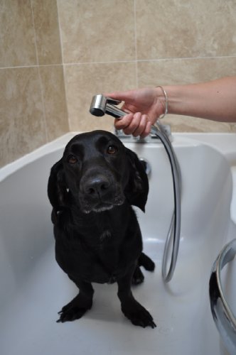 DOG-or-CAT-WASH-SHOWER-HEAD-with-brilliant-water-saving-adjustable-onoff-thumb-lever-operation-for-perfect-control-Fits-all-standard-UK-EU-shower-hoses