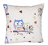 Kissen MIT FÜLLUNG Dekokissen 40cm x 40cm Eule Ecru/Blau Groß