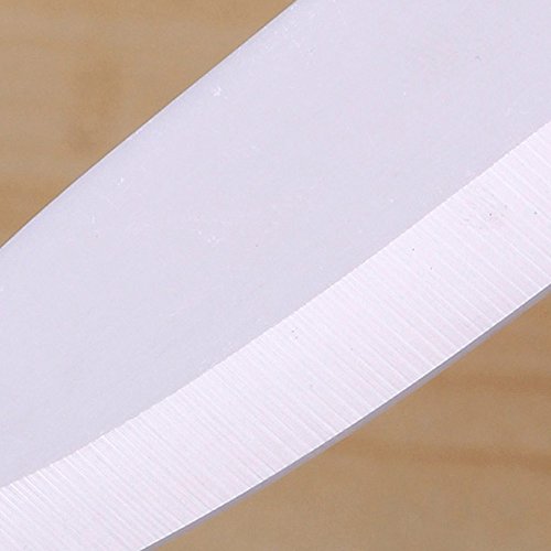 VivReal Obstmesser Keramik Messer Schälmesser Einhandmesser Küchenmesser Kochmesser Blau - 6