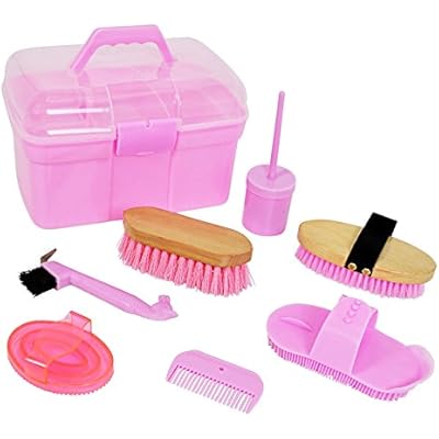 8 Teilige Pferdeputzbox In Pink Fur Kinder Putzkasten Striegel Hufkratzer Kardatsche Hufpinsel Mahnenkamm Pdf Complete Basilaydan