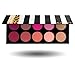 10 Pigmented Professional Blush & Bronzer Palette Makeup Kit Set Pro Palette High-end Formula (Blushes & Bronzer)