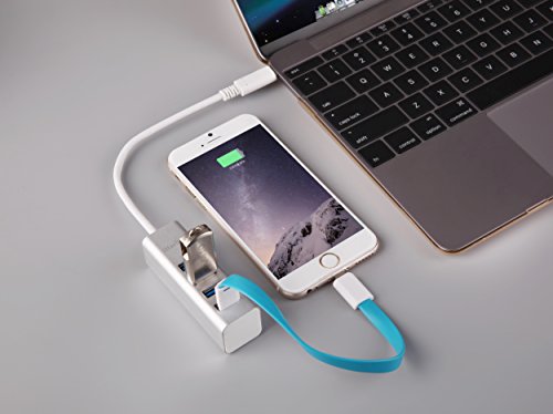 iHarbort USB 3.1 Type C USB-C Typ C auf 4-Port USB 3.0 Hub für die neue MacBook, Chromebook Pixel und andere USB-Typ-C-Gerät, Gold - 4