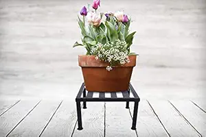 HINS Black Square Planter Stand For Havy & Bulky Planter Indoor & Outdoor Gardening I Plant Stands For Indoor Balcony I Plant Bench I Plant Stands I Pot Stand Single I Potted Plant Stand I Big Pots I Metal Plant Stand I Tall Outdoor Planter I Metal Casters I Large Plant Stand I Pot Stands For Garden I Indoor Plants Stand I Iron Plant Stand I Terrace Garden Stand I Garden Rack I Iron Stand For Pots I Pots Stand I Indoor Planter With Stand