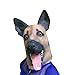 Produktbild Deutscher Schäferhund german shepherd Maske - perfekt für Fasching, Karneval & Halloween - Kostüm für Erwachsene - Latex, Unisex Einheitsgröße
