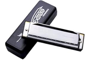 Swan Blues Harmonica diatonique en sol Do majeur Silver