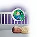 Fisher-Price Rainforest Waterfall Peek A Boo Soother