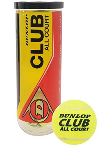Preisvergleich Produktbild Dunlop Club All Court 3