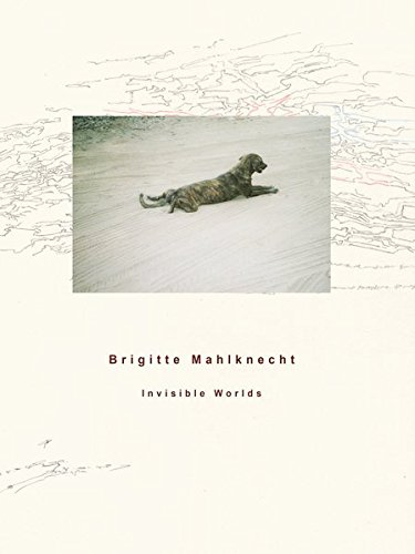 Preisvergleich Produktbild Brigitte Mahlknecht, Invisible Worlds