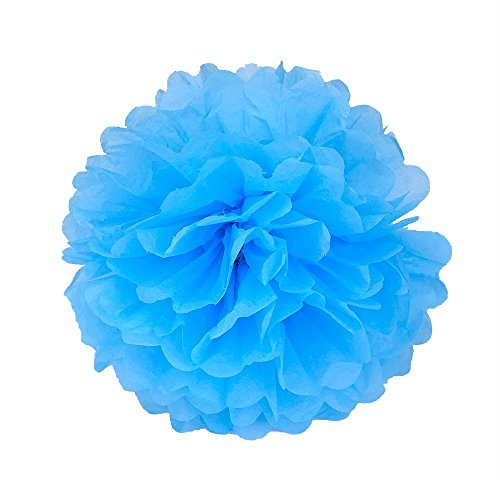 eBoot Seidenpapier Pom Poms PomPoms Blume für Hochzeit Dekoration Party Deko, 10 Zoll, 9 Stück - 6