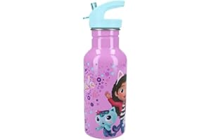 My sweety pop Trinkflasche für Kinder, Edelstahl, Krippe, Kindergarten, Schule, Urlaub, Mahlzeit, 22 cm, 500 ml, Hydratation, Geschenkidee, Flasche (Gabby's Dollhouse, Blau/Violett)