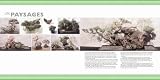 Image de Bonsaï : Jardins miniatures