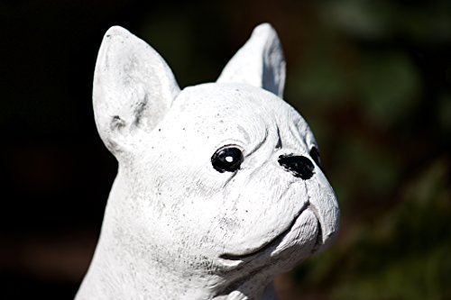 Steinfigur französische Bulldogge Dogge Hund, Frost- und Wetterfest, handgearbeitet - 2