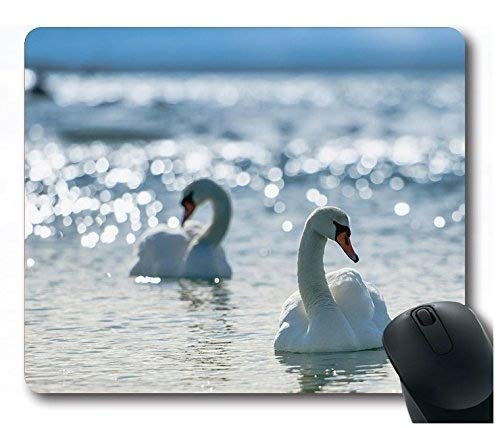 Preisvergleich Produktbild Schöne Schwan-Mausunterlage Gaming-Mausunterlage-Mausunterlage