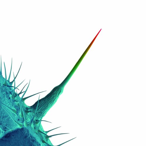 couverture de : And i'll sratch yours