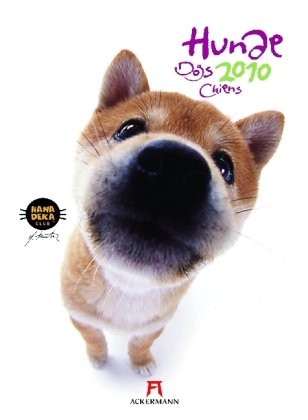 Hunde Hanadeka 2010