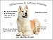 Produktbild Merchandise for Fans Blechschild/Warnschild / Türschild - Aluminium - 15x20cm - - Willkommen in Meinem Zuhause - Motiv: Akita Inu - 02
