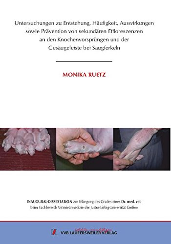 Untersuchungen zu Entstehung, Häufigkeit, Auswirkungen sowie Prävention von sekundären Effloreszenzen an den Knochenvorsprüngen und der Gesäugeleiste bei Saugferkeln