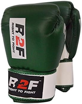 R2F Sports Leather Serpentes Boxing Gloves Muay Thai MMA Punching Sparring Training Martial Arts